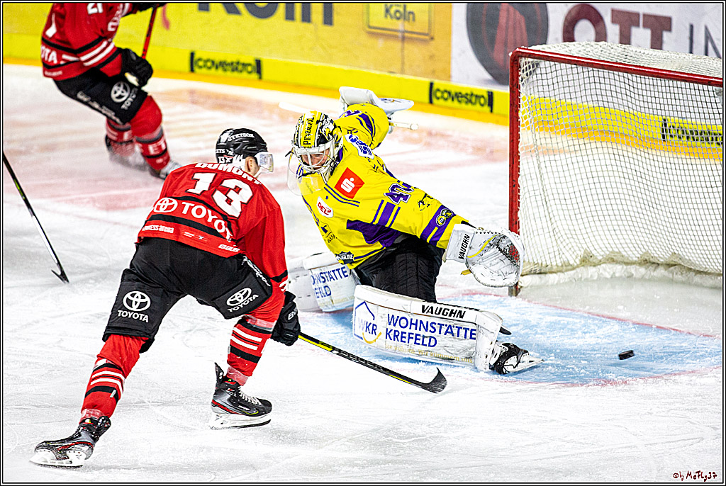DEL;  Koelner Haie - Krefeld Pinguine; Koeln, 06.01.2020